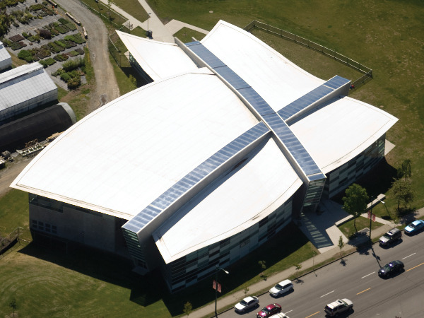 TPO Roof System